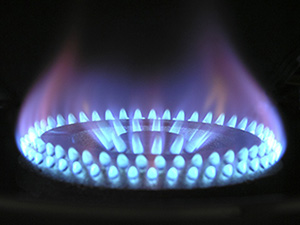 Annual gas safety certificates just £40 plus VAT