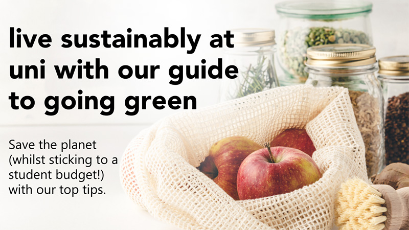 Live sustainably at uni with our guide to going green