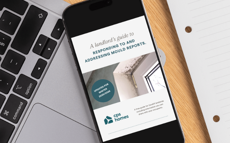 Top 3 Pics On The Website 