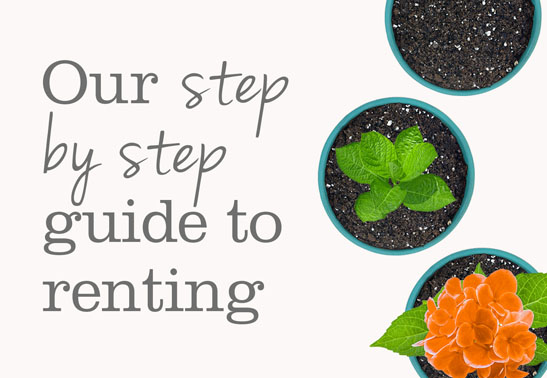 renting-guide