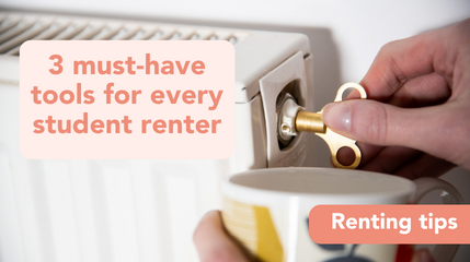 3 must-have tools for every student renter