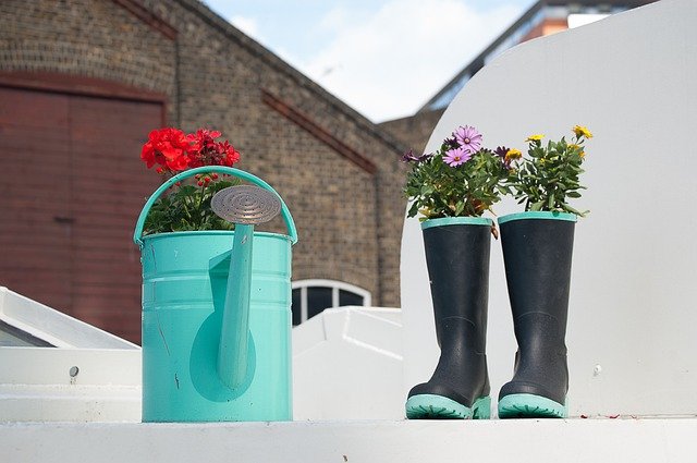 Plants in wellies and a watering can - credit Iris Luis Bustamante from Pixabay