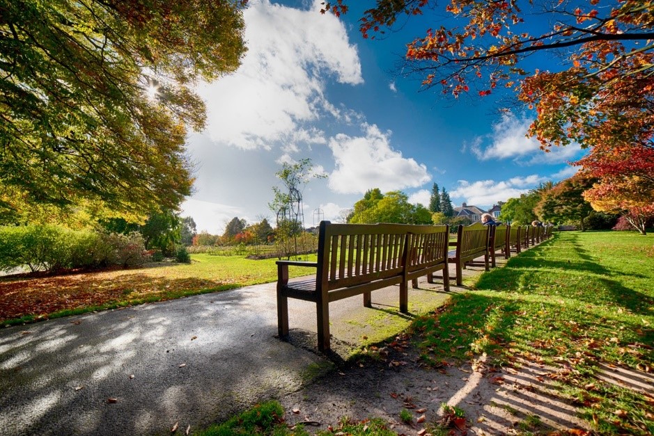 Roath Park Cardiff