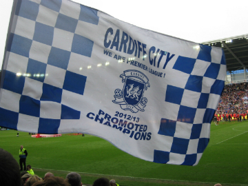 Cardiff City Flag