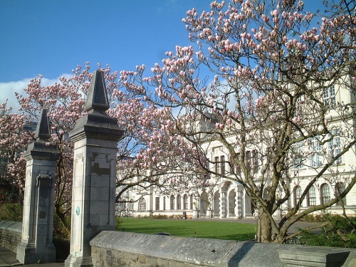 Cardiff University photo from wikimedia commons