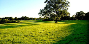 Heath Park