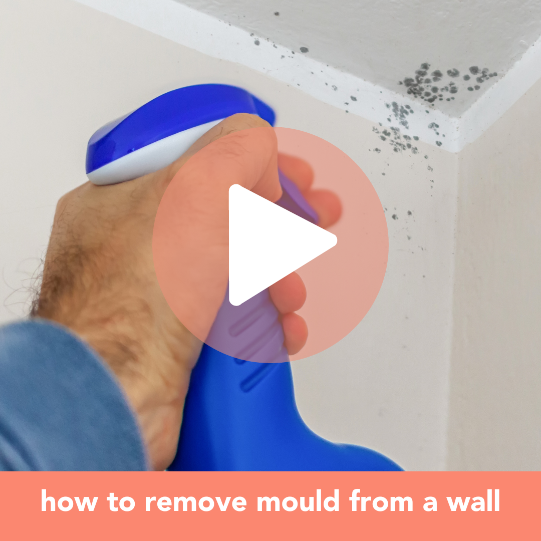 How to remove mould