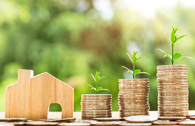 Wooden house next to coins with shoots growing