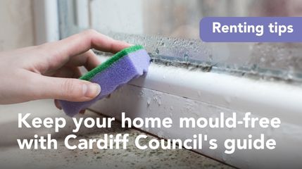 Keep your home mould-free with Cardiff Council's guide