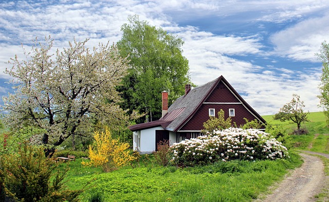 House with established garden