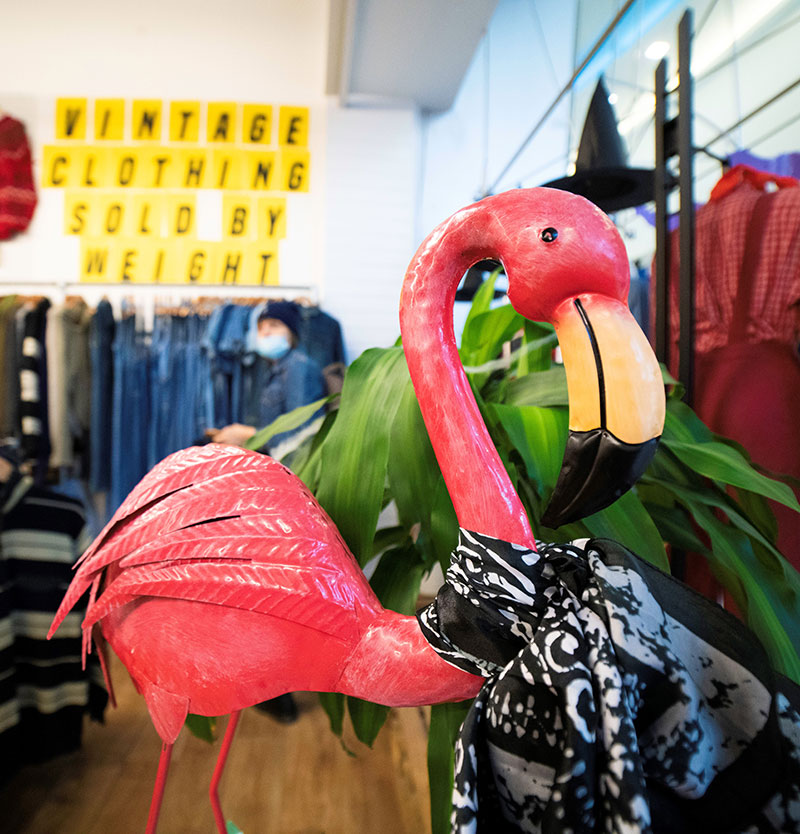 Flamingo's Vintage