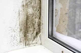 Mould on wall by window