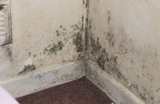 Mould in a corner behind furniture