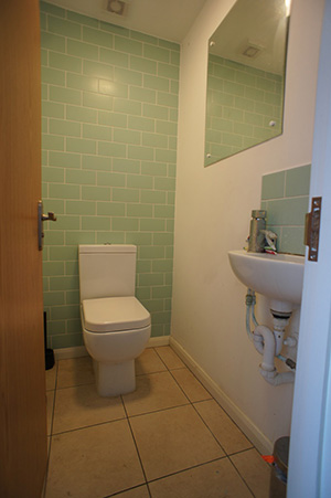 Daniel Street Bathroom