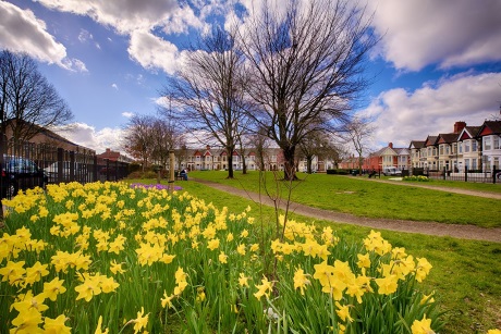 Grangetown Green