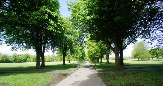 Pontcanna Park