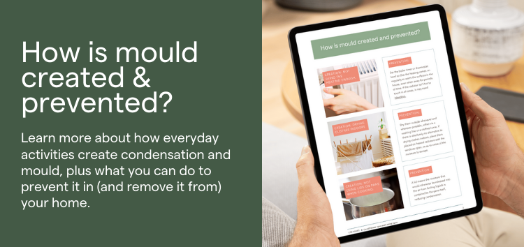 Download tenant mould tips