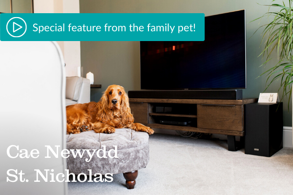 Cae Newydd St Nicholas